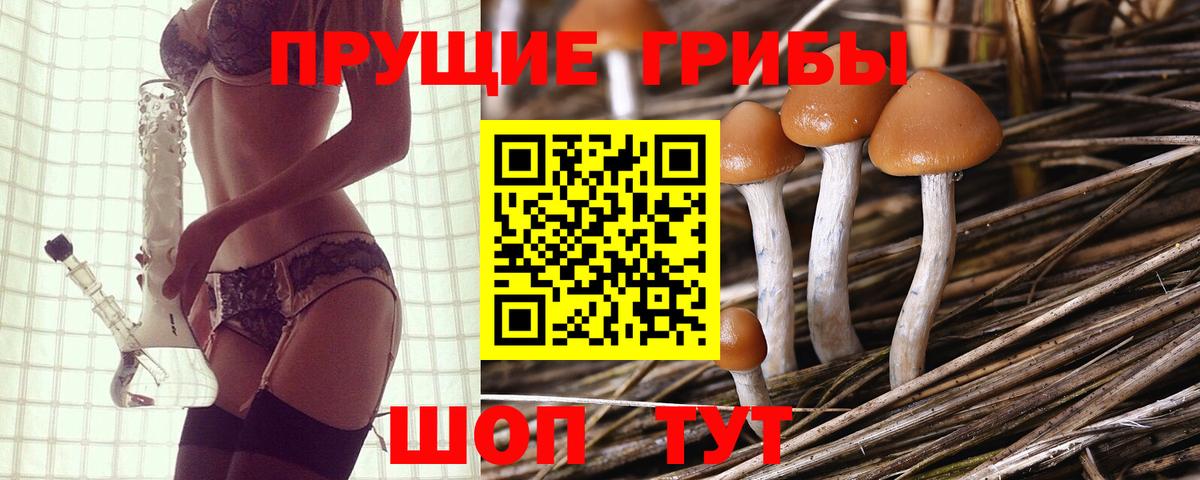 Псилоцибиновые грибы Psilocybe Заволжье